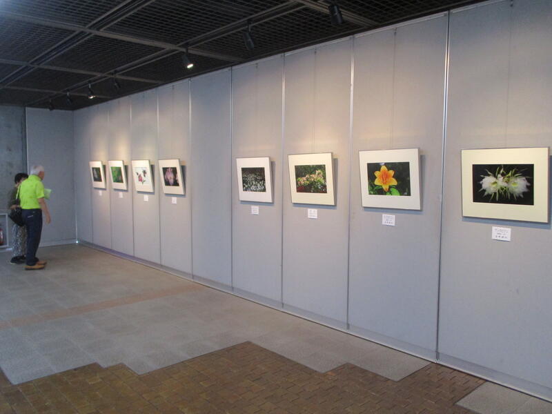 群馬花の会　写真展様子
