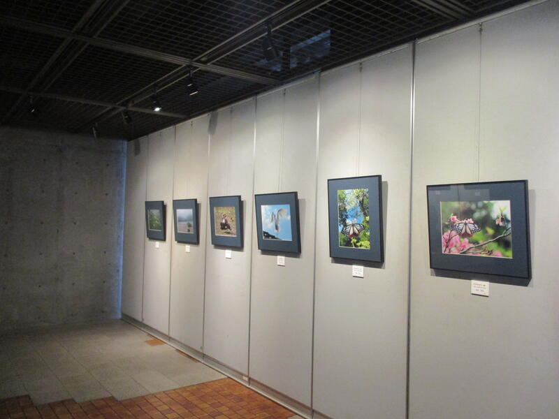 写遊アカギ　写真展様子