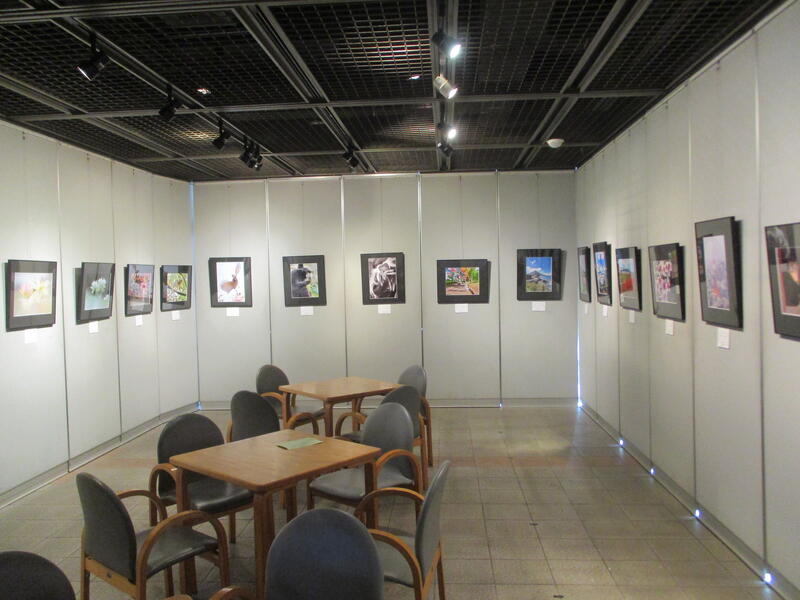 城南写真クラブ　写真展様子