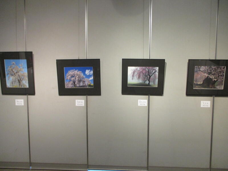 フォト萩の会　写真展　展示様子