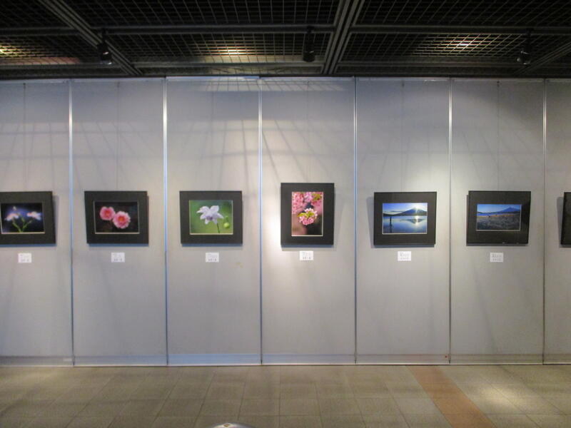 フォト萩の会　写真展　展示様子