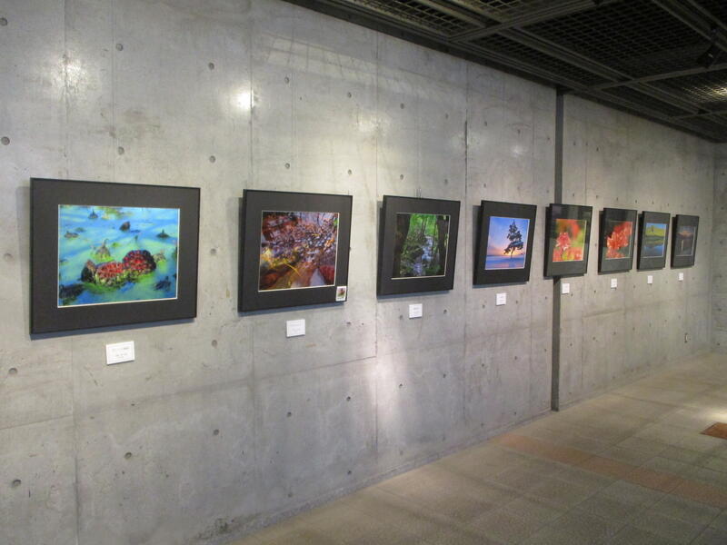 赤城写遊会　写真展様子