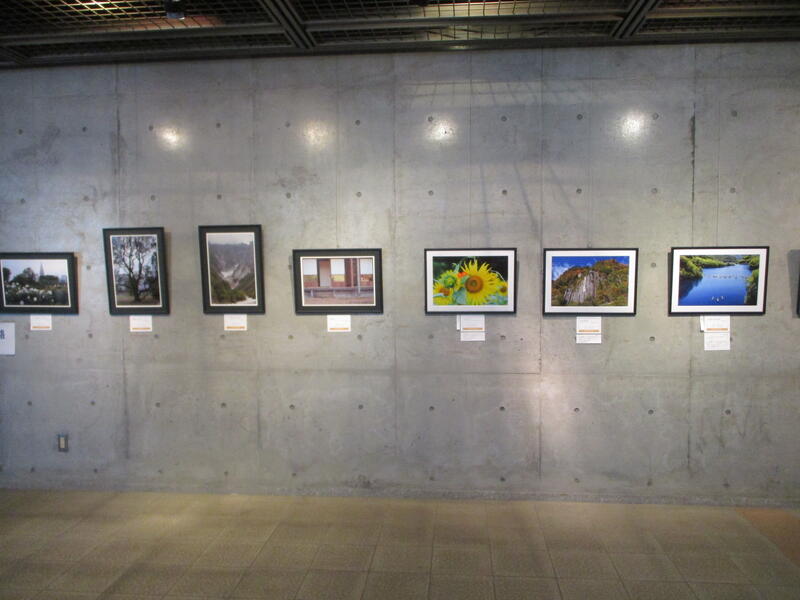 群馬県保険医協会　写真展様子