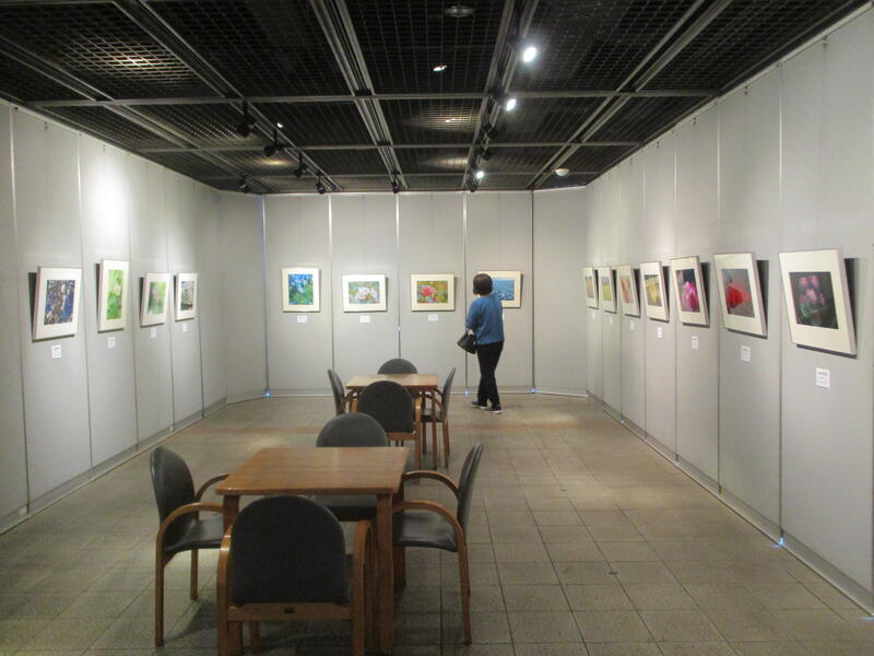 群馬花の会　写真展様子