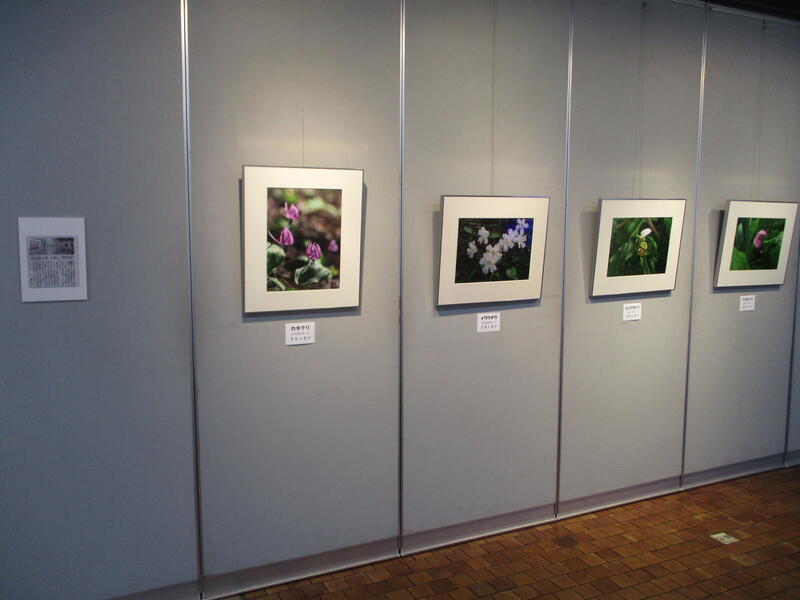 群馬花の会　写真展様子
