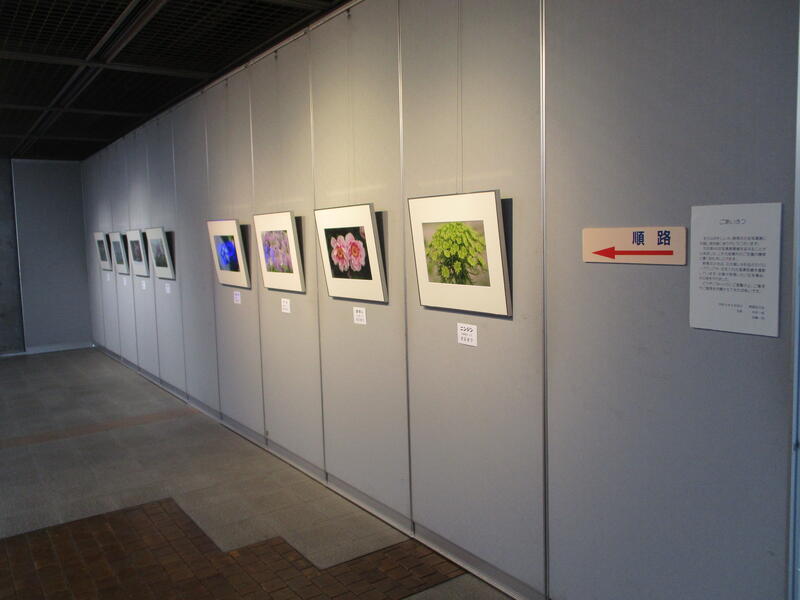 群馬花の会　写真展様子