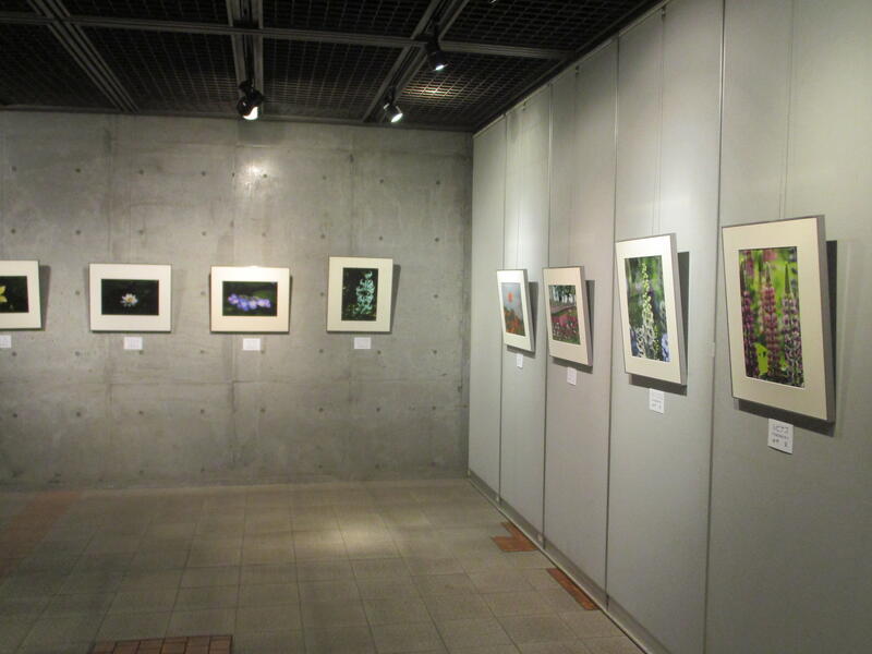 群馬花の会　写真展様子